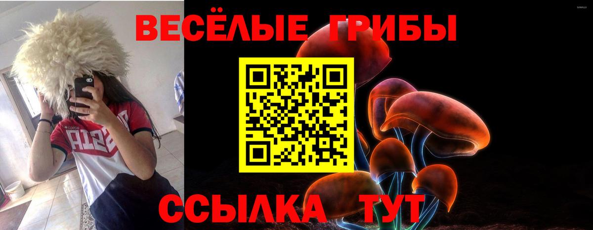 Псилоцибиновые грибы прущие грибы  Вход с VPN  Норильск 